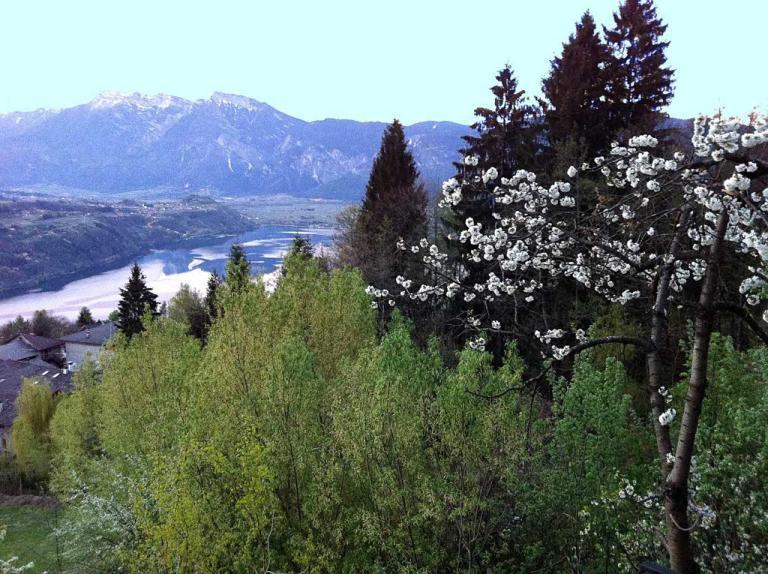 B&B Alba Sul Lago 페르지네 발수가나 외부 사진