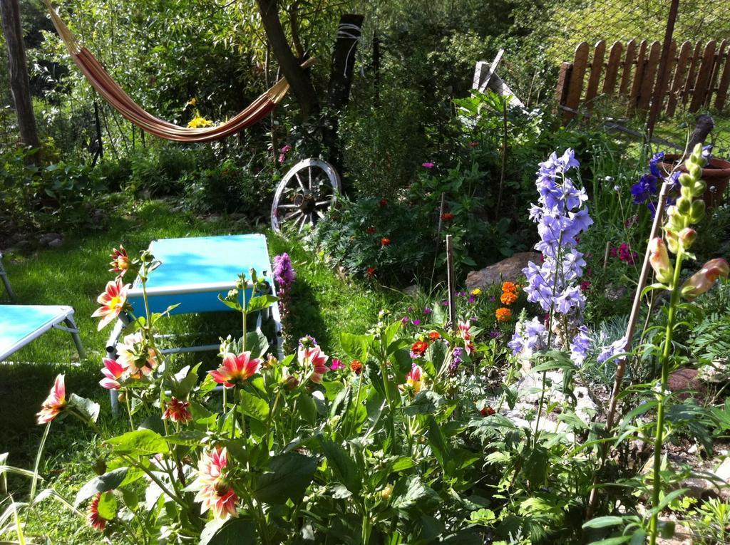 B&B Alba Sul Lago 페르지네 발수가나 외부 사진